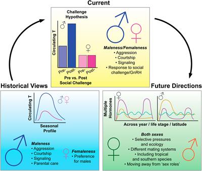 Beyond a biased binary: A perspective on the misconceptions, challenges, and implications of studying females in avian behavioral endocrinology